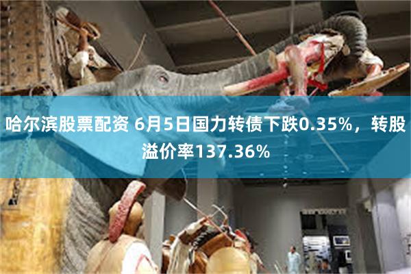 哈尔滨股票配资 6月5日国力转债下跌0.35%，转股溢价率137.36%